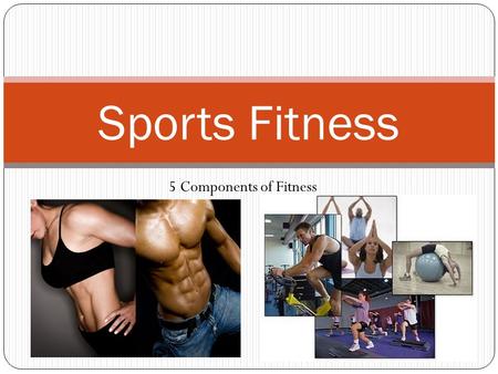 Sports Fitness 5 Components of Fitness. Muscular Strength Muscular strength is the amount of force a muscle or muscle group can exert against a heavy.