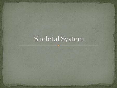 Dr. Michael P. Gillespie. The adult human skeleton consists of 206 named bones. Infants have more bones because not all bones have fused. Axial skeleton.