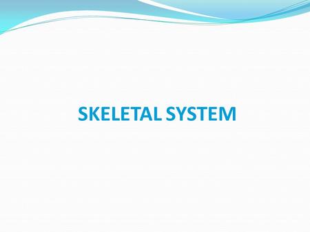 SKELETAL SYSTEM.