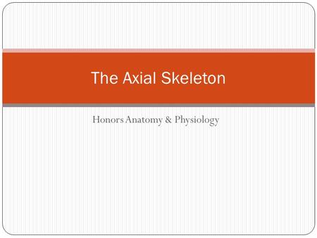 Honors Anatomy & Physiology The Axial Skeleton. Skeletal Divisions 206 separate bones + cartilages Axial Skeleton (80 bones) Skull (22 bones) + 7 associated.