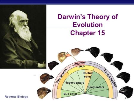 Darwin’s Theory of Evolution Chapter 15