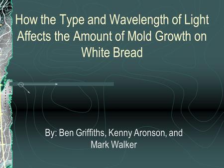 How the Type and Wavelength of Light Affects the Amount of Mold Growth on White Bread By: Ben Griffiths, Kenny Aronson, and Mark Walker.