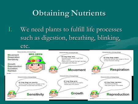 Obtaining Nutrients I.We need plants to fulfill life processes such as digestion, breathing, blinking, etc.