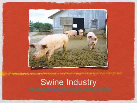 Swine Industry