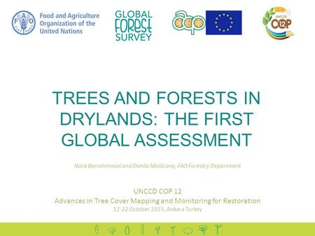 TREES AND FORESTS IN DRYLANDS: THE FIRST GLOBAL ASSESSMENT UNCCD COP 12 Advances in Tree Cover Mapping and Monitoring for Restoration 12-22 October 2015,