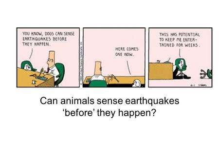 Can animals sense earthquakes ‘before’ they happen?