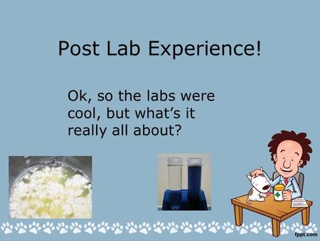 Post Lab Experience! Ok, so the labs were cool, but what’s it really all about?