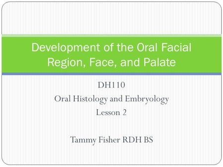 DH110 Oral Histology and Embryology Lesson 2 Tammy Fisher RDH BS Development of the Oral Facial Region, Face, and Palate.