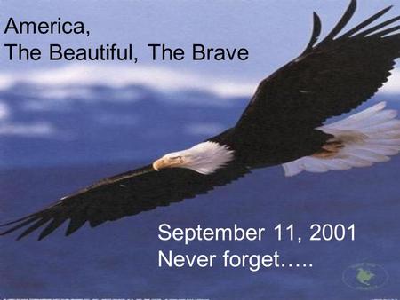 America, The Beautiful, The Brave September 11, 2001 Never forget…..