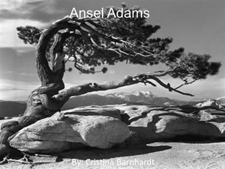 Ansel Adams By: Cristina Barnhardt. History of Ansel Adams Ansel Adams was a visionary figure in nature photography and wilderness preservation. He is.