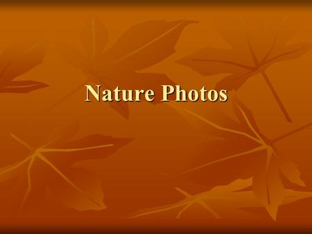 Nature Photos. Landscape Examples.