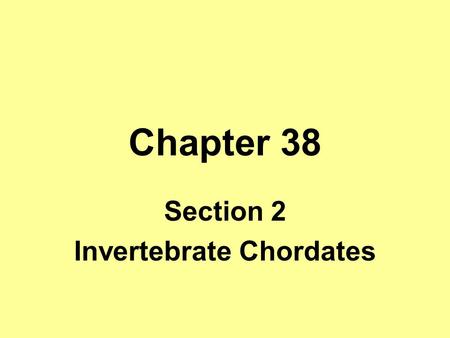 Section 2 Invertebrate Chordates