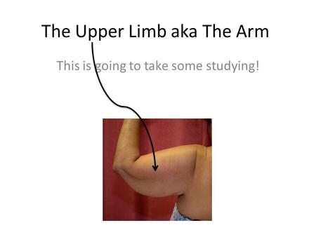 The Upper Limb aka The Arm This is going to take some studying!