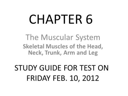 Skeletal Muscles of the Head, Neck, Trunk, Arm and Leg