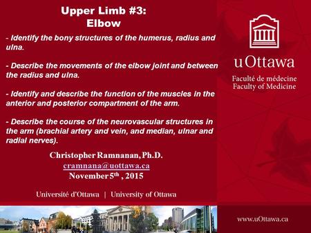 Upper Limb #3: Elbow Christopher Ramnanan, Ph.D. November 5 th, 2015 - Identify the bony structures of the humerus, radius and ulna.