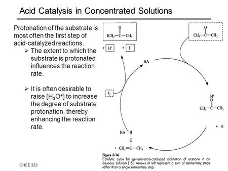 CHEE 323J.S. Parent1 Acid Catalysis in Concentrated Solutions Protonation of the substrate is most often the first step of acid-catalyzed reactions. 