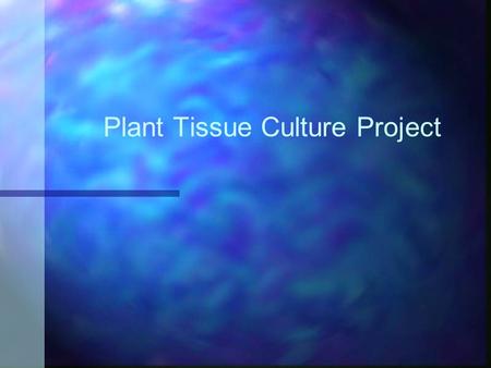 Plant Tissue Culture Project. What is Plant Tissue Culture? Plant tissue culture is a form of asexual propagation of plants under laboratory conditions.