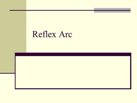 Reflex Arc. The Reflex Arc Includes Receptor Sensory Neuron Motor Neuron Effectors Involved in a particular reflex interneurons may or may not be present.