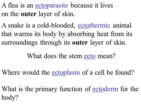 What is the primary function of ectoderm for the body? A snake is a cold-blooded, ectothermic animal that warms its body by absorbing heat from its surroundings.