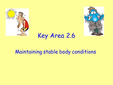 Key Area 2.6 Maintaining stable body conditions. Starter Activity: 2 Minutes thinking time. Discuss with your partner, what do you know about the nervous.