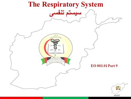 The Respiratory System سیستم تنفسی AFAMS EO 003.01 Part 9.