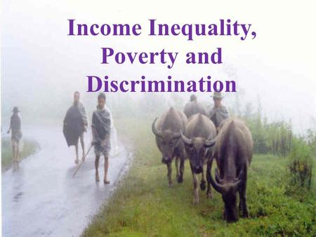 Income Inequality, Poverty and Discrimination