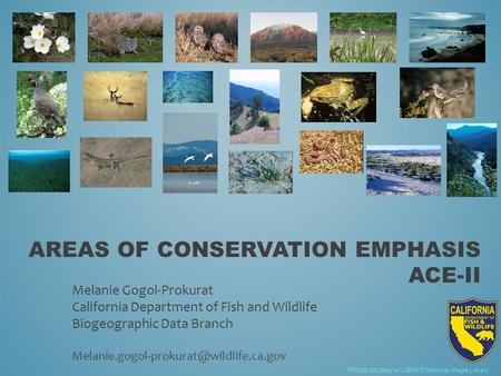 AREAS OF CONSERVATION EMPHASIS ACE-II Photos courtesy of USFWS National Image Library Melanie Gogol-Prokurat California Department of Fish and Wildlife.