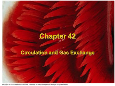 Chapter 42 Circulation and Gas Exchange. Material Exchange The exchange of materials from inside to outside is an important function for organisms. The.