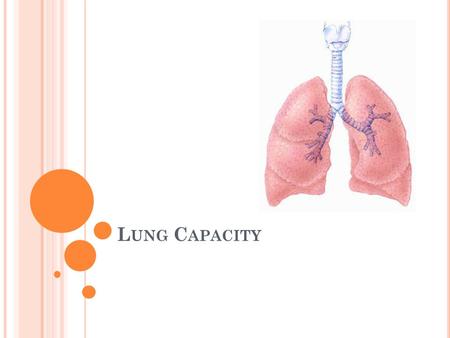 L UNG C APACITY. Under normal conditions, your regular breathing does not use up the full capacity of you lungs. As your body’s needs increase, so does.