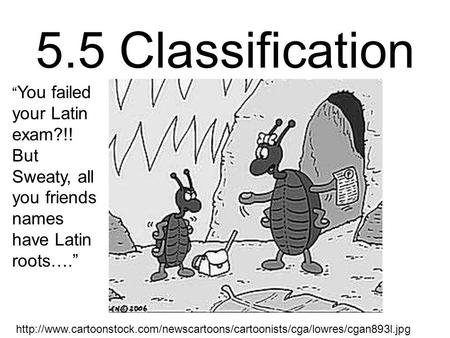 5.5 Classification “ You failed your Latin exam?!! But Sweaty, all you friends names have Latin roots….”