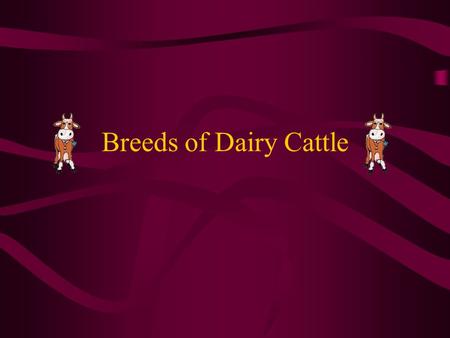 Breeds of Dairy Cattle.