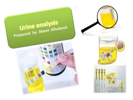 The purpose urine studies is to identify variation in substances normally found in the urine. Diseases of several organs and systems can alter the composition.