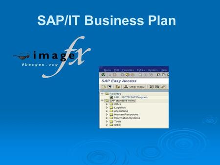 SAP/IT Business Plan.  Mission Statement  Organization  Image FX Implementation  SAP Image FX Training Plan  SAP/IT Budget  Target Conversion Plan.