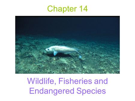 Wildlife, Fisheries and Endangered Species