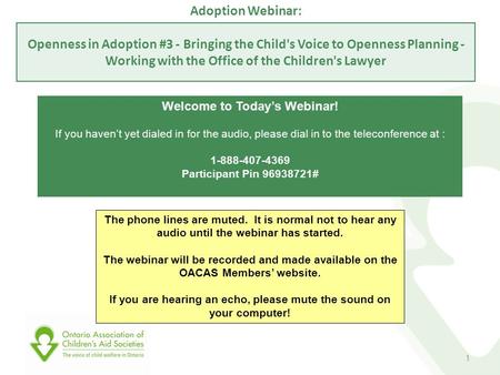 Adoption Webinar: Openness in Adoption #3 - Bringing the Child's Voice to Openness Planning - Working with the Office of the Children's Lawyer Welcome.