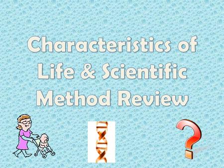 A ______________ is a testable explanation hypothesis.