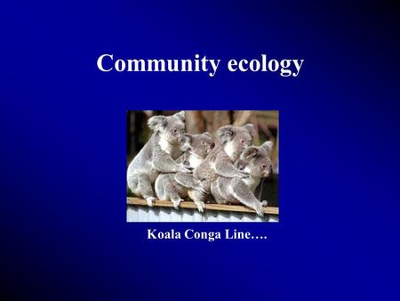 Community ecology Koala Conga Line….. Community- groups of interacting populations Can be potentially influenced by interactions with other organisms.