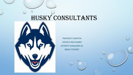 HUSKY CONSULTANTS FRANKLIN VALENCIA WIOLETA MILCZAREK ANTHONY GAGLIARDI JR. BRIAN CONNERY.