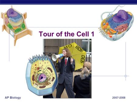 AP Biology 2007-2008 Tour of the Cell 1 AP Biology Prokaryote bacteria cells Types of cells Eukaryote animal cells -no membrane-bound organelles - organelles.