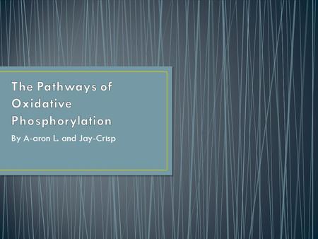 By A-aron L. and Jay-Crisp. The electron transport chain is a collection of molecules embedded in the inner membrane of the mitochondria in Eukaryotic.