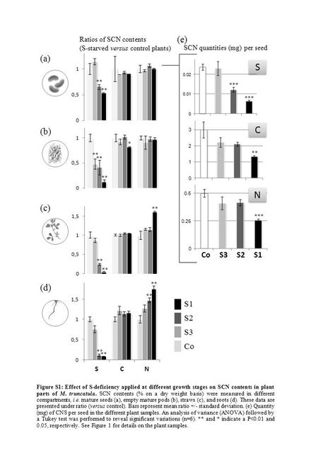 S1 Figure S1: Effect of S-deficiency applied at different growth stages on SCN contents in plant parts of M. truncatula. SCN contents (% on a dry weight.