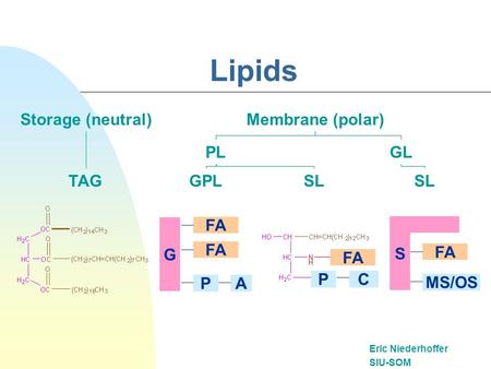 Lipids Eric Niederhoffer SIU-SOM Storage (neutral)Membrane (polar) G S FA P PACMS/OS FA TAG PLGL GPLSL.