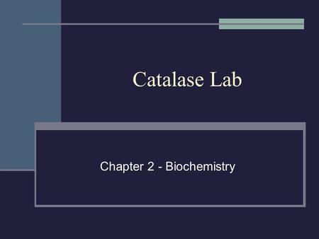 Chapter 2 - Biochemistry