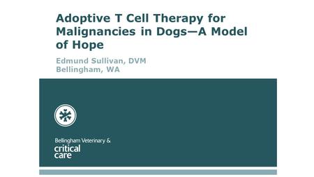 Adoptive T Cell Therapy for Malignancies in Dogs—A Model of Hope