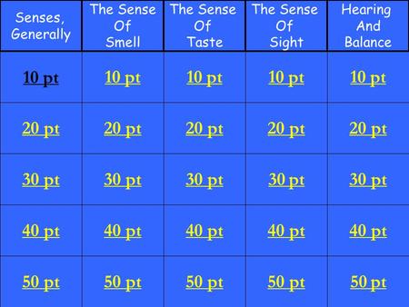 20 pt 30 pt 40 pt 50 pt 10 pt 20 pt 30 pt 40 pt 50 pt 10 pt 20 pt 30 pt 40 pt 50 pt 10 pt 20 pt 30 pt 40 pt 50 pt 10 pt 20 pt 30 pt 40 pt 50 pt 10 pt Senses,