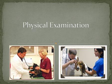 After this lesson, students should be able to: Explain the importance of physical examinations. Describe the characteristics of a healthy animal. Monitor.