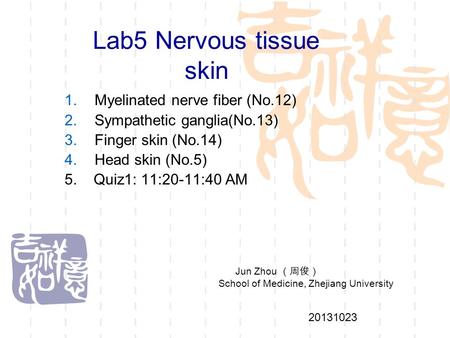 Lab5 Nervous tissue skin