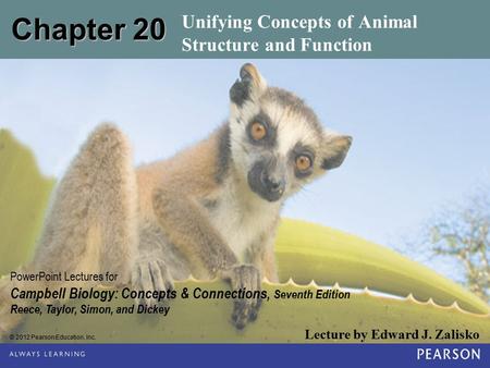 © 2012 Pearson Education, Inc. Lecture by Edward J. Zalisko PowerPoint Lectures for Campbell Biology: Concepts & Connections, Seventh Edition Reece, Taylor,