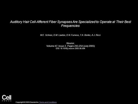 Auditory Hair Cell-Afferent Fiber Synapses Are Specialized to Operate at Their Best Frequencies M.E. Schnee, D.M. Lawton, D.N. Furness, T.A. Benke, A.J.