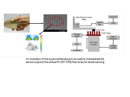 An illustration of the experimental setup to be used to characterize the sensor output of thevertical P(VDF-TrFE) fiber array for tactile sensing.